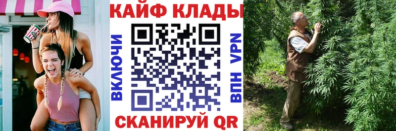 Где продают наркотики Анжеро-Судженск Псилоцибиновые грибы  Мефедрон  МЕГА рабочий сайт  Cocaine  Альфа ПВП  АМФ  ТГК 