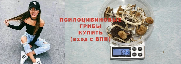 СК Алзамай